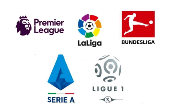 具备强大的 具备强大的